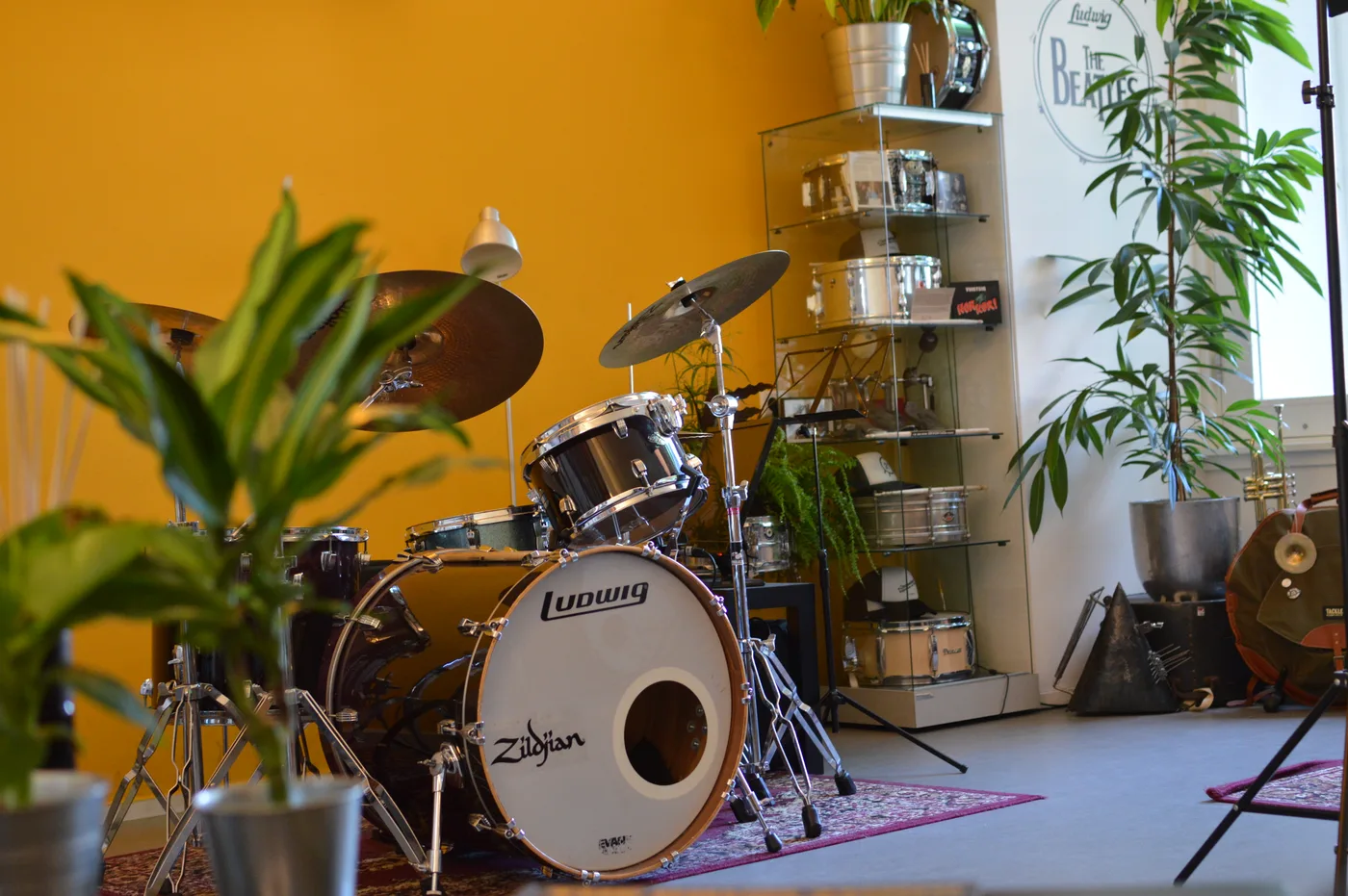Studio 11 met Ludwig drumstel en planten